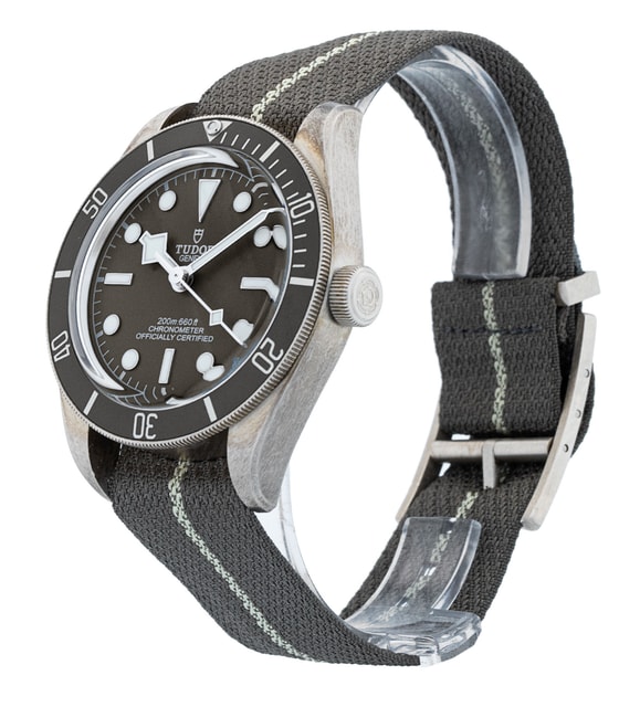 Tudor Black Bay 58 M79010SG-0002 Image 2